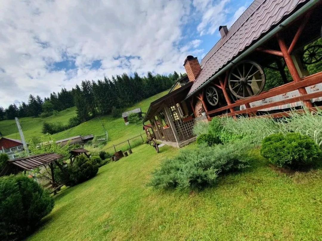 Pensiunea Cla Albac Exterior foto
