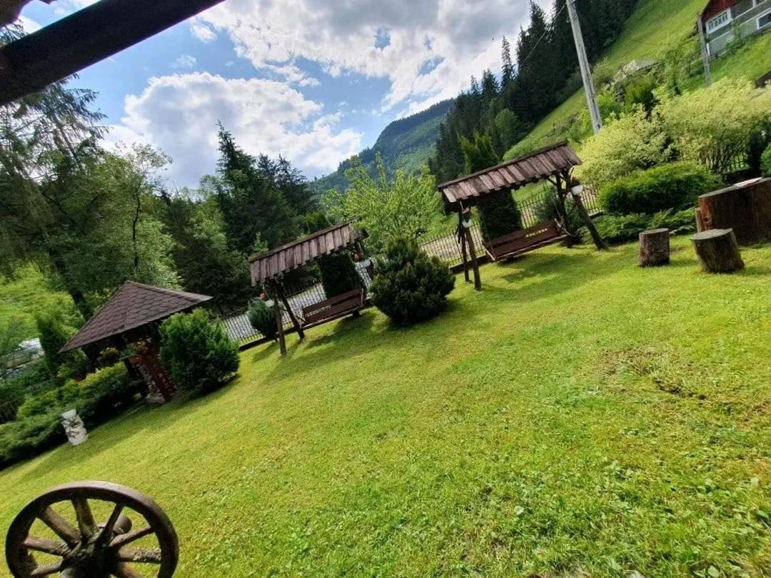 Pensiunea Cla Albac Exterior foto