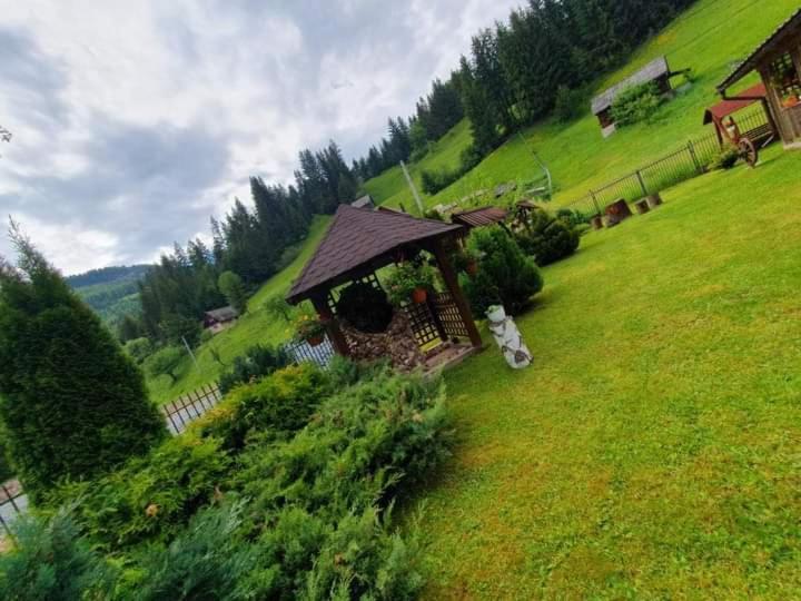 Pensiunea Cla Albac Exterior foto