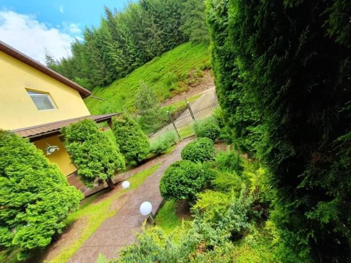 Pensiunea Cla Albac Exterior foto