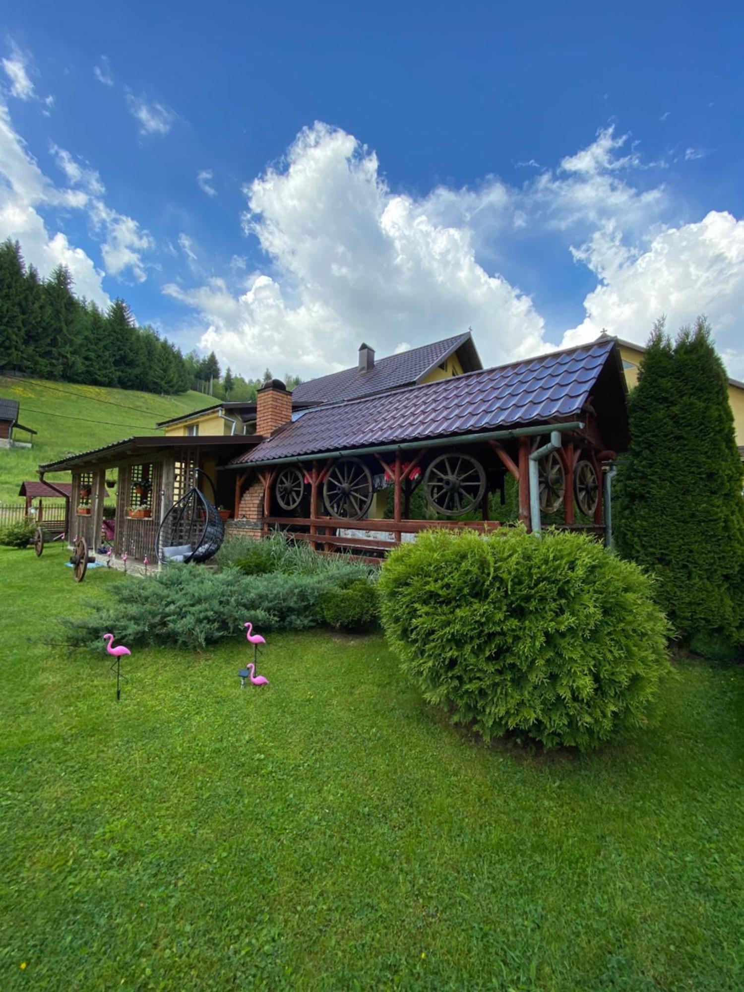 Pensiunea Cla Albac Exterior foto