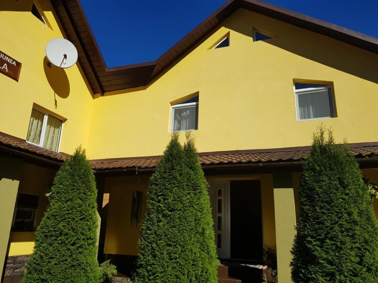 Pensiunea Cla Albac Exterior foto
